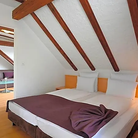 Olympia Hotel Zúrich