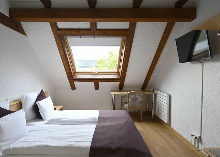 Olympia 3* ציריך